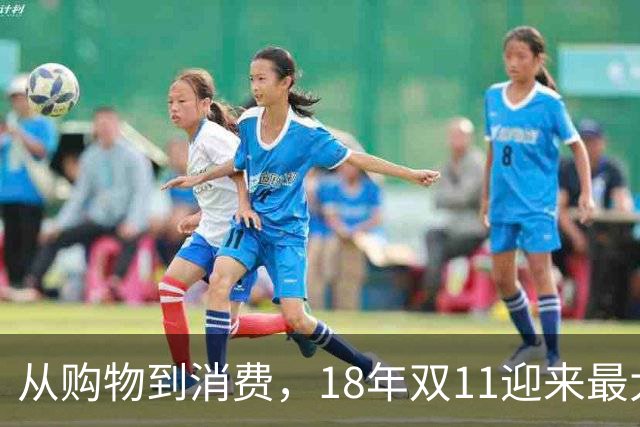 从购物到消费，18年双11迎来最大一次跃迁